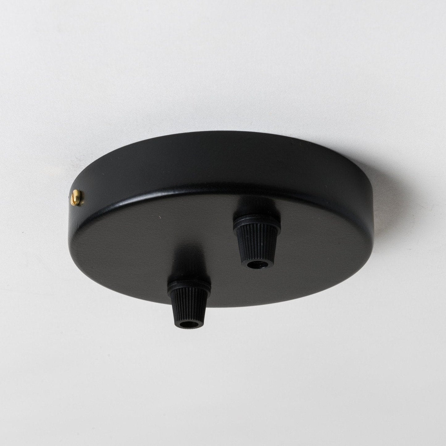 Black Steel 100mm Ceiling Rose - 2 Outlets - Enamel Shades