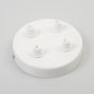 White Steel 100mm Ceiling Rose - 4 Outlets