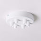 White Steel 100mm Ceiling Rose - 6 Outlets - Enamel Shades