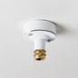 Industrial Ceiling Rose with Brass Gland - All Colours - Enamel Shades